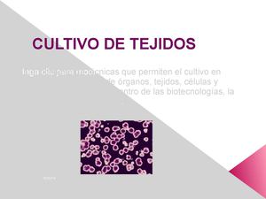 DIAPOSITIVAS CULTIVO DE TEJIDOS NICOLAS VANEGAS PEDRAZA GRADO 6ª B
