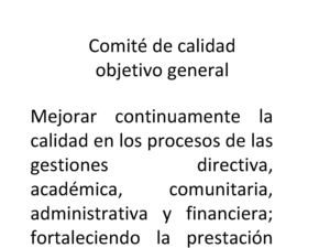 COMITE DE CALIDAD