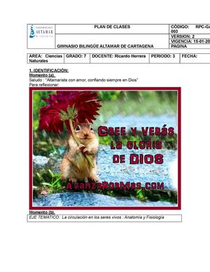 Circulación en los seres vivos