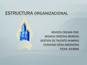 Estructura Organizacional