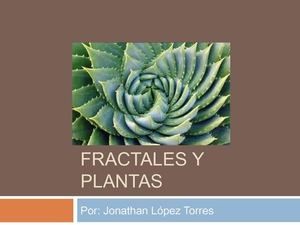 Asig1 Fractales y Plantas-Jonathan