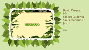 Herbario David Vasquez 2014 