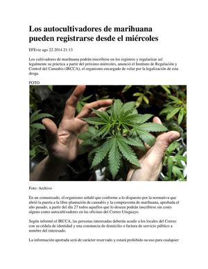 Autocultivadores de Marihuana Roberto Armando Moreno Bertucci