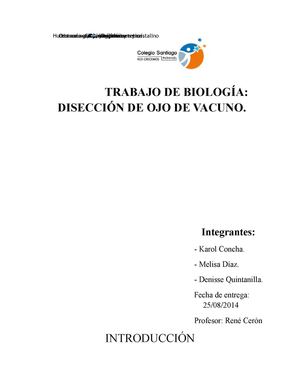 Disección ojo de vacuno