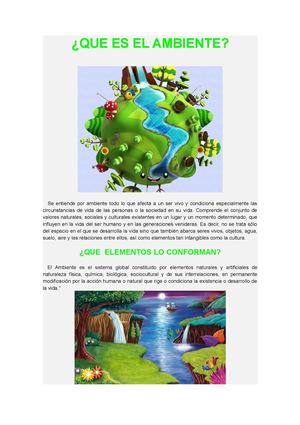 MEDIO AMBIENTE