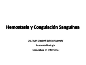 hemostasia