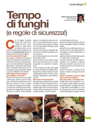 Tempo di funghi