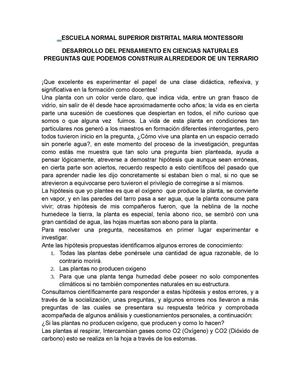 PREGUNTAS QUE PODEMOS CONSTRUIR ALRREDEDOR DE UN TERRARIO