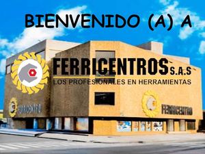 INDUCCION CORPORATIVA FERRICENTRO 