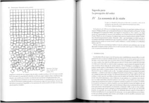 "La economía de la visión". El sentido del orden. Gombrich 