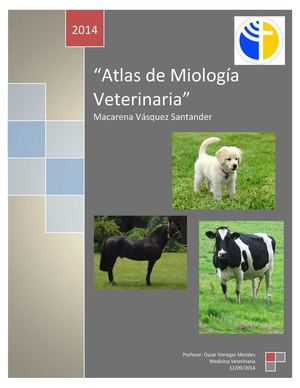 Atlas de miologia veterinaria