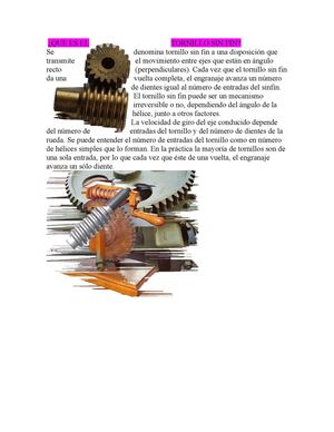 ¿Qué es el tornillo sin fin?