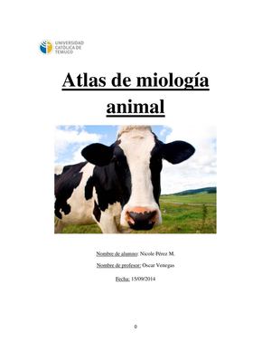 Atlas miología animal