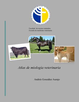 Atlas de miologia veterinaria 