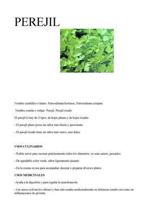 plantas aromaticas
