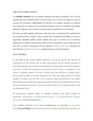 Qué son las medidas cautelares