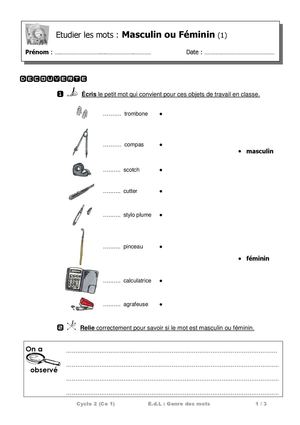 Les mots dans la phrase : Masculin-Féminin