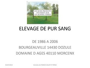 ELEVAGE DE PUR SANG