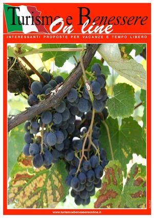 Turismo e Benessere Online n. 4 - 2014-It