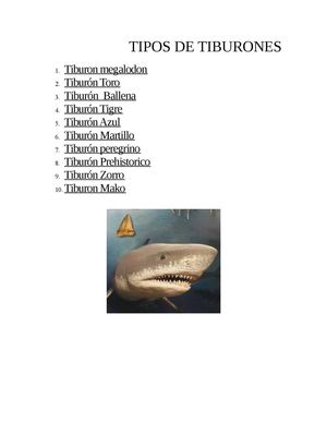TIPO DE TIBURONES 