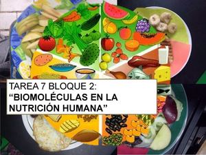 Tarea 7 Bloque 2