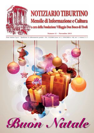 Anno 2013 - n. 11 - Novembre