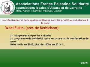 Confiscation de terres à Wadi Fukin - année 2014