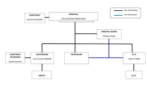 Organigramme du Collège