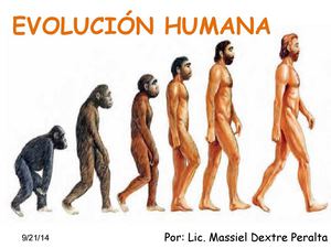 Evolución en homínidos