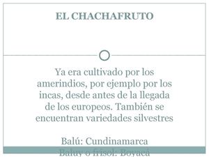 Torta de Chachafruto