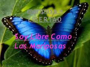 Libre como las mariposas.