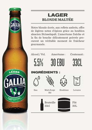 FICHE TECHNIQUE LAGER GALLIA