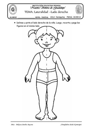 TEMA: LATERALIDAD - LADO DERECHO