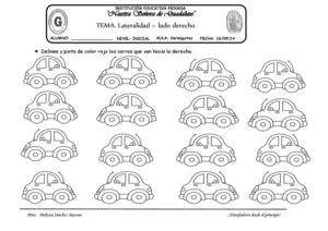 TEMA: LATERALIDAD -LADO DERECHO