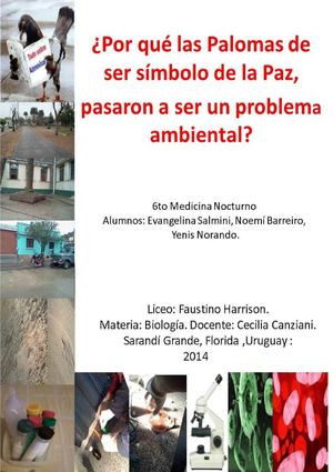 INVESTIGACIÓN SOBRE PALOMAS