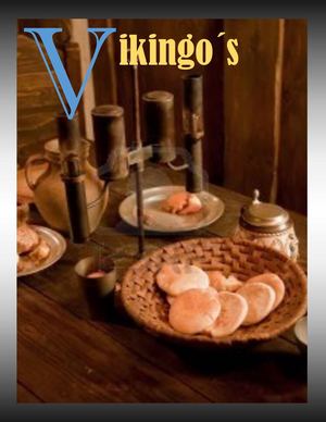 revista VIKINGOS!