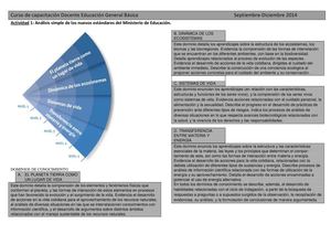 Actividad_1_Ideas_principales_de_los_Estandares.pdf