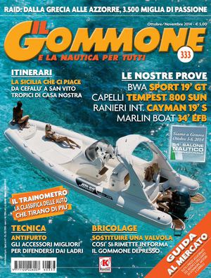 IL GOMMONE N. 333