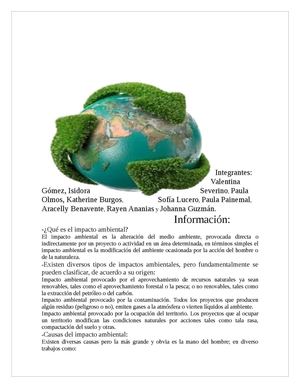 El impacto ambiental