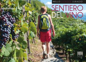 MORBEGNO IN CANTINA - Strada del Vino