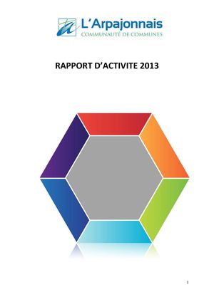 Rapport d'activité 2013