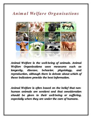  For The Love Of Wildlife-Animal Welfare Volunteer and Organisations 
