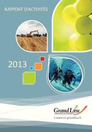 Rapport d'activités 2013