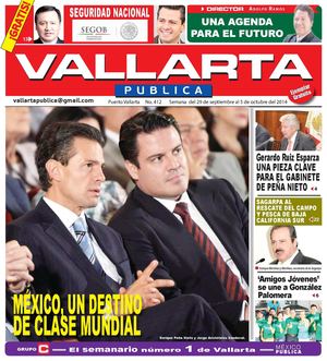 VALLARTA 412 WEB