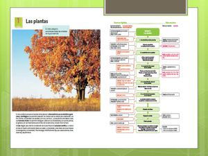 Actividad Final.CCNN