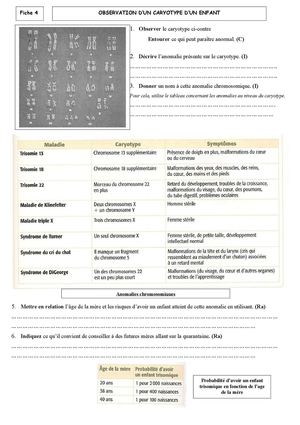 Fiche 4  Anomalie caryotype