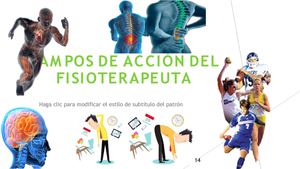 Campos De Acción Del Fisioterapeuta