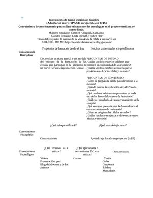 Instrumento De Diseño Curricular Didáctico Carmen