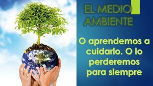 Cuidemos El Medio Ambiente