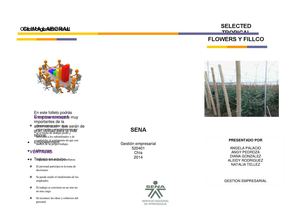 Folleto Sobre Clima Organizacional